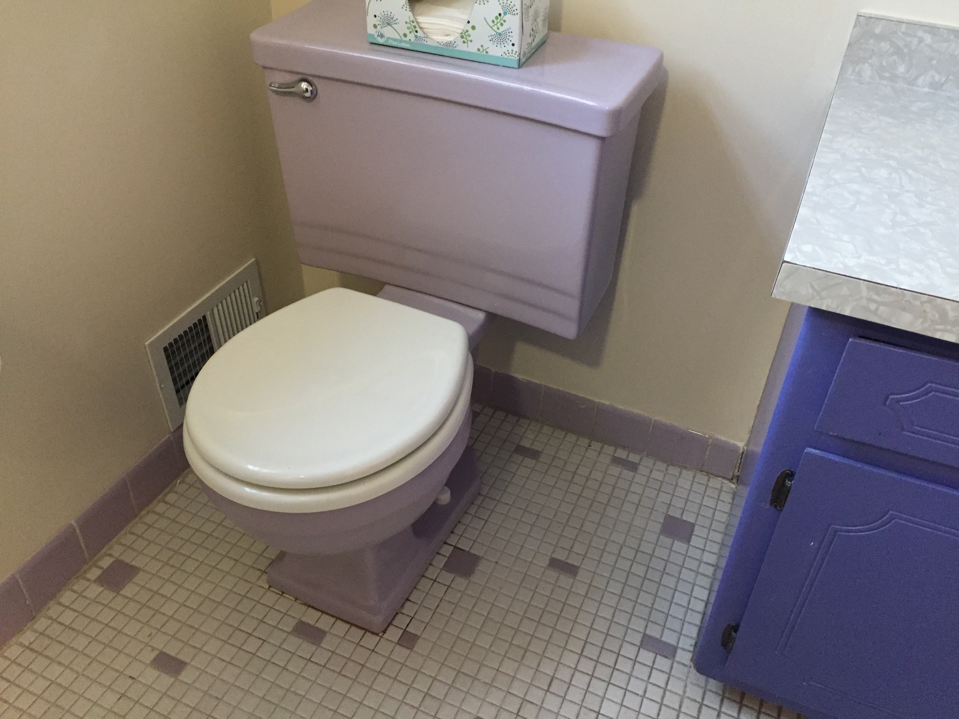 Lavender toilet bowlyou have to love it on some level!